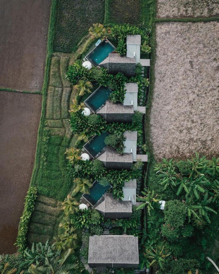Lasamana Villas Ubud By Pramana Villas Exterior photo
