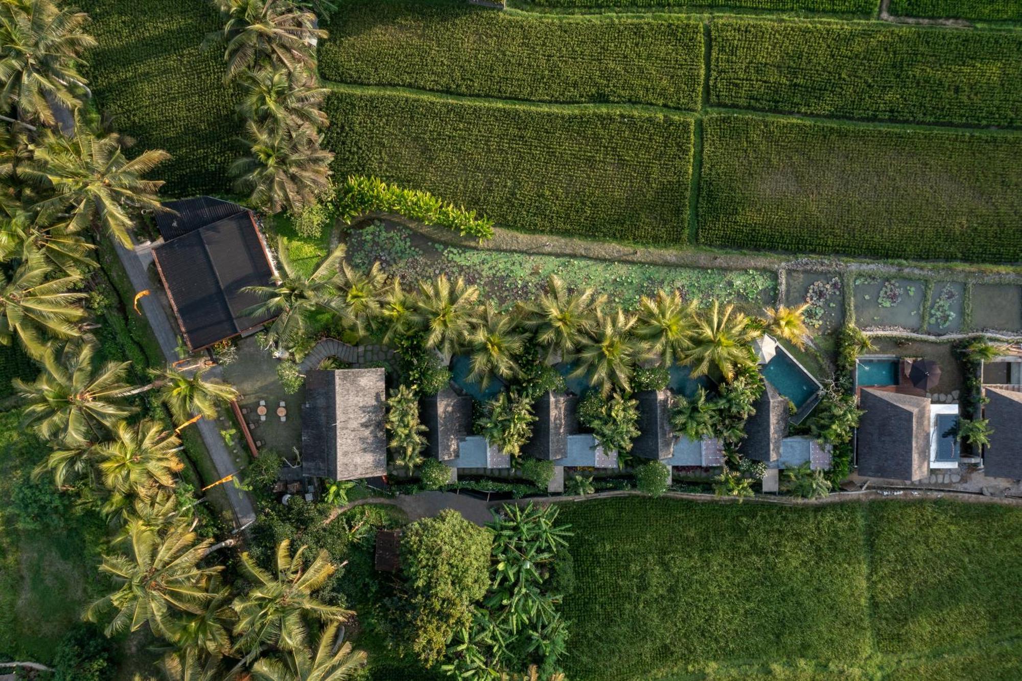 Lasamana Villas Ubud By Pramana Villas Exterior photo